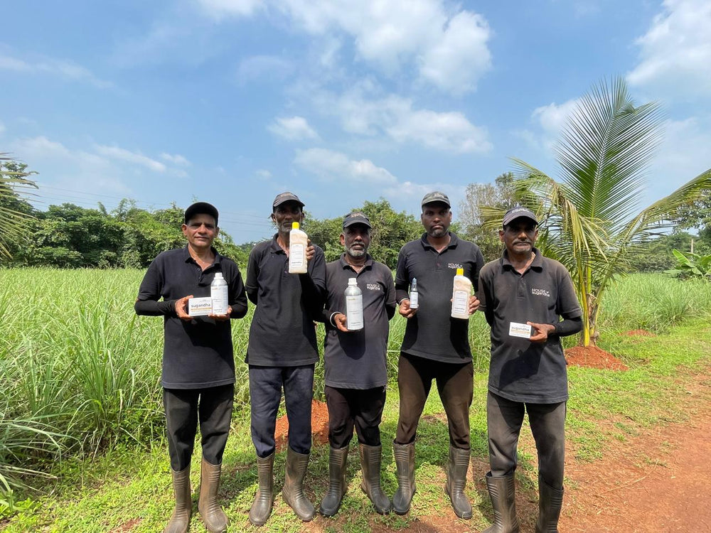 The Sugandha team holding products in their lemongrass field in Konkan.