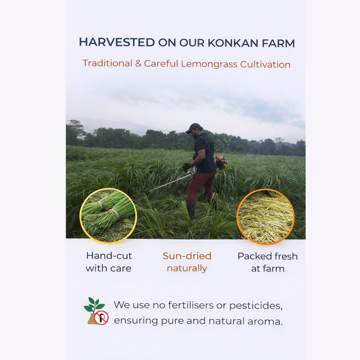 Sugandha Natural Lemongrass Car Freshener | Farm-Distilled Essential Oil | Mosquito & Insect Repellent | Wooden Hanging Diffuser for Car & Wardrobe