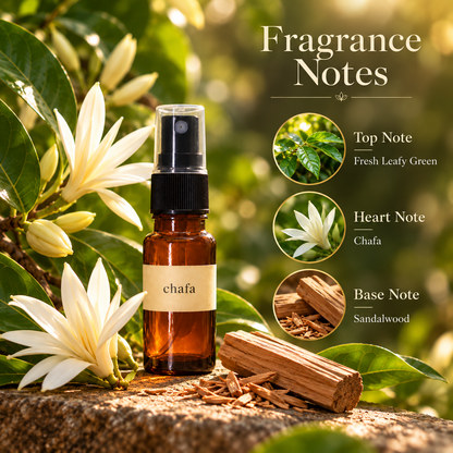 Sugandha Konkan Chafa — fragrance notes: fresh leafy green, signature heart and sandalwood